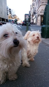 img_20160316_085645-1